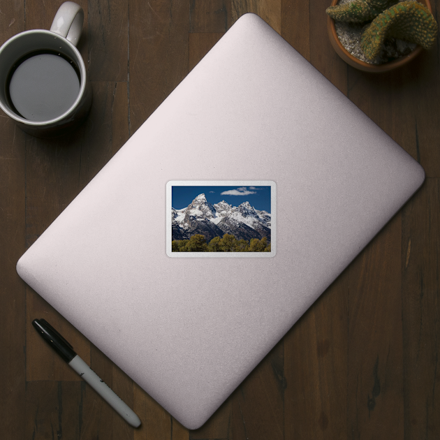 Trees With Mountain Range In The Background Teton Range by HammiltenJohn